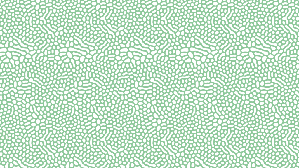 Datenschutzerklärung | 