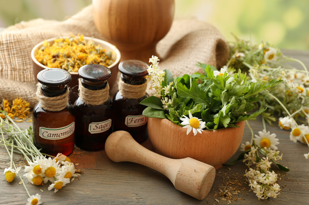 Phytotherapie: Physiotherapie MSc, Naturheilkunde (TEN) und Craniosacral Therapie aus Männedorf in Zürich.